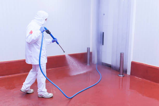 Best Soft Washing for Delicate Surfaces in Rye Brook, NY