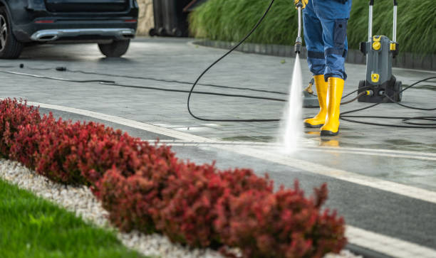Best Gutter Cleaning and Brightening in Rye Brook, NY